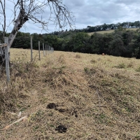 Venda de Chacara em Rural Batinga em São Thomé das Letras-MG