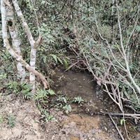 Venda de Chacara em Rural Batinga em São Thomé das Letras-MG