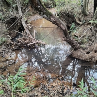 Venda de Chacara em Rural Batinga em São Thomé das Letras-MG