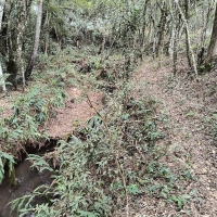 Venda de Chacara em Rural Batinga em São Thomé das Letras-MG