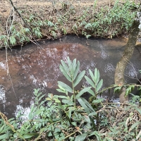 Venda de Chacara em Rural Batinga em São Thomé das Letras-MG