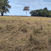 Venda de Chacara em Rural Batinga em São Thomé das Letras-MG
