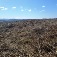 Chacara A Venda Em São Thomé Das Letras no Rural Caí