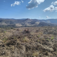Chacara A Venda Em São Thomé Das Letras no Rural Caí