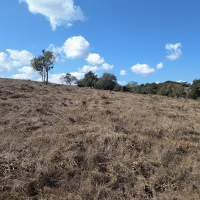 Chacara A Venda Em São Thomé Das Letras no Rural Caí