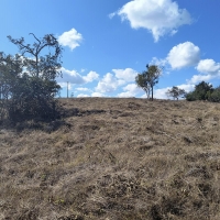 Chacara A Venda Em São Thomé Das Letras no Rural Caí