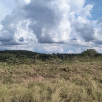 Chacara A Venda Em São Thomé Das Letras no Rural Caí