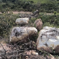 Chacara A Venda Em São Thomé Das Letras no Rural Caí