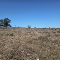 Venda de Chacara em Rural Caí em São Thomé das Letras-MG