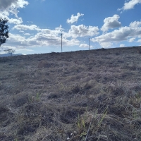 Venda de Chacara em Rural Caí em São Thomé das Letras-MG