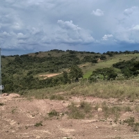Venda de Chacara em Rural Caí em São Thomé das Letras-MG