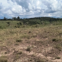 Venda de Chacara em Rural Caí em São Thomé das Letras-MG