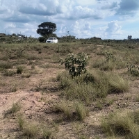 Venda de Chacara em Rural Caí em São Thomé das Letras-MG