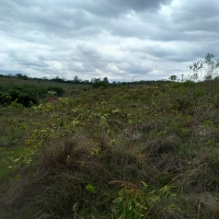 Venda de Chacara em Rural Caí em São Thomé das Letras-MG