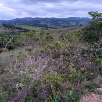 Venda de Chacara em Rural Caí em São Thomé das Letras-MG