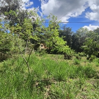 Chacara A Venda Em São Thomé Das Letras no Rural Canta Galo