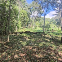 Chacara A Venda Em São Thomé Das Letras no Rural Canta Galo