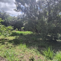 Venda de Chacara em Rural Canta Galo em São Thomé das Letras-MG
