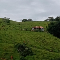 Chacara A Venda Em São Thomé Das Letras no Rural Chapada