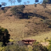 Chacara A Venda Em São Thomé Das Letras no Rural Chapada