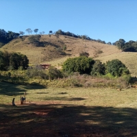Venda de Chacara em Rural Chapada em São Thomé das Letras-MG
