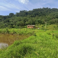 Venda de Sítio em Rural Cacimbas em Conceição do Rio Verde-MG