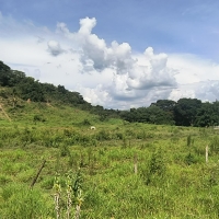 Venda de Sítio em Rural Cacimbas em Conceição do Rio Verde-MG