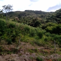 Sítio A Venda Em Cruzília no Rural Cruzília
