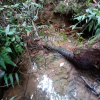 Sítio A Venda Em Cruzília no Rural Cruzília