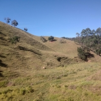 Venda de Sítio em Rural sitio dos vinte em Cruzília-MG