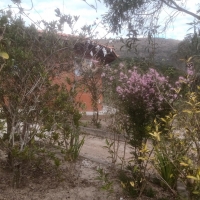 Sítio A Venda Em São Thomé Das Letras no Rural Canta Galo