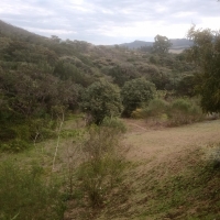 Sítio A Venda Em São Thomé Das Letras no Rural Canta Galo
