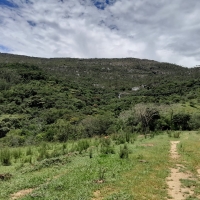 Sítio A Venda Em São Thomé Das Letras no Rural Canta Galo