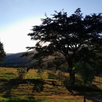Sítio A Venda Em São Thomé Das Letras no Rural Canta Galo