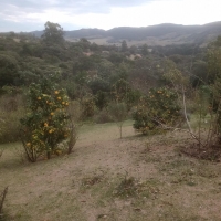 Venda de Sítio em Rural Canta Galo em São Thomé das Letras-MG