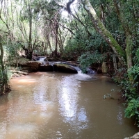 Sítio A Venda Em São Thomé Das Letras no Rural Crioulos