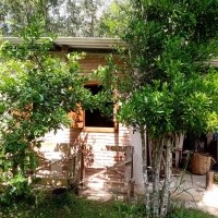 Sítio A Venda Em São Thomé Das Letras no Rural Crioulos