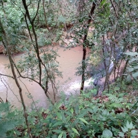 Venda de Sítio em Rural Crioulos em São Thomé das Letras-MG