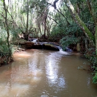 Venda de Sítio em Rural Crioulos em São Thomé das Letras-MG