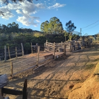 Venda de Sítio em Rural Lagoa em São Thomé das Letras-MG