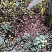 Venda de Sítio em Rural Lagoa em São Thomé das Letras-MG