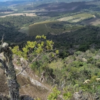 Sítio A Venda Em São Thomé Das Letras no Rural  Sobradinho de Minas