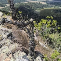Sítio A Venda Em São Thomé Das Letras no Rural  Sobradinho de Minas