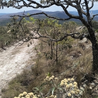 Sítio A Venda Em São Thomé Das Letras no Rural  Sobradinho de Minas