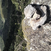 Sítio A Venda Em São Thomé Das Letras no Rural  Sobradinho de Minas