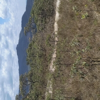 Sítio A Venda Em São Thomé Das Letras no Rural  Sobradinho de Minas