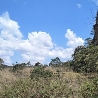 Sítio A Venda Em São Thomé Das Letras no Rural  Sobradinho de Minas