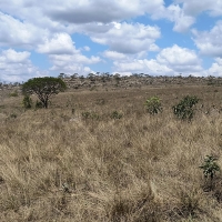 Sítio A Venda Em São Thomé Das Letras no Rural  Sobradinho de Minas