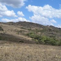 Sítio A Venda Em São Thomé Das Letras no Rural  Sobradinho de Minas