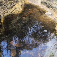 Sítio A Venda Em São Thomé Das Letras no Rural  Sobradinho de Minas